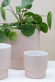 Veneto Blush 10x9cm Ribbed Base EOL Planter Pot