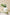 Table setting with greenery, glasses, and plates on a beige background