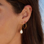 Mira Mother Of Pearl Teardrop Gold Hook Earrings