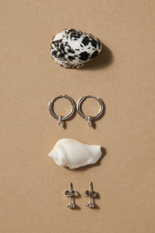Two seashells and two pairs of earrings on a beige background