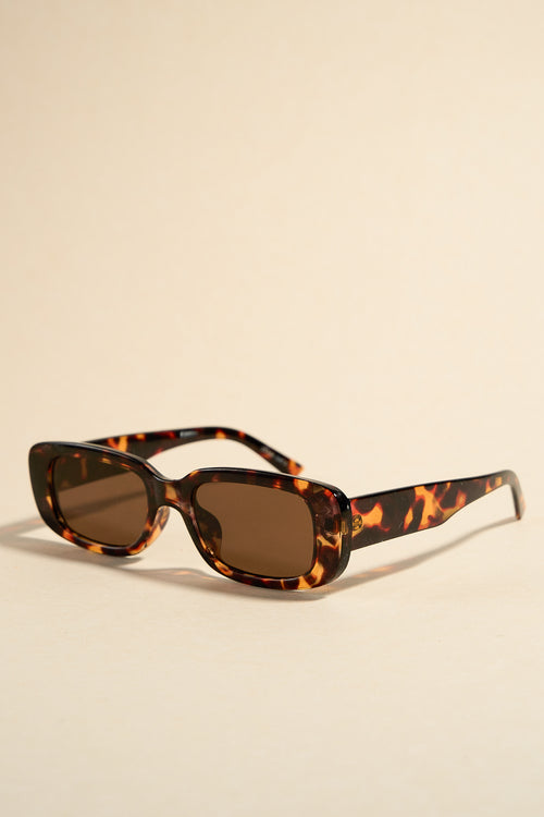 brown tort sunglasses