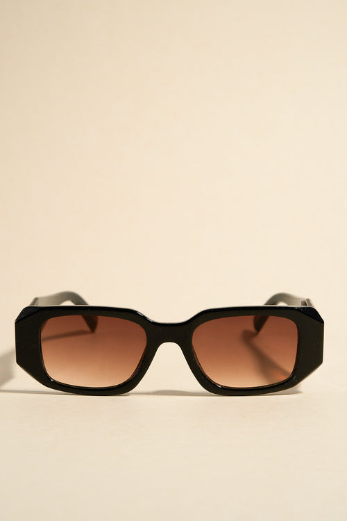 brown tort sunglasses