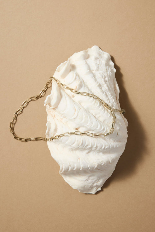 White shell with a gold chain on a beige background