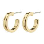 Gold hoop earrings on a white background