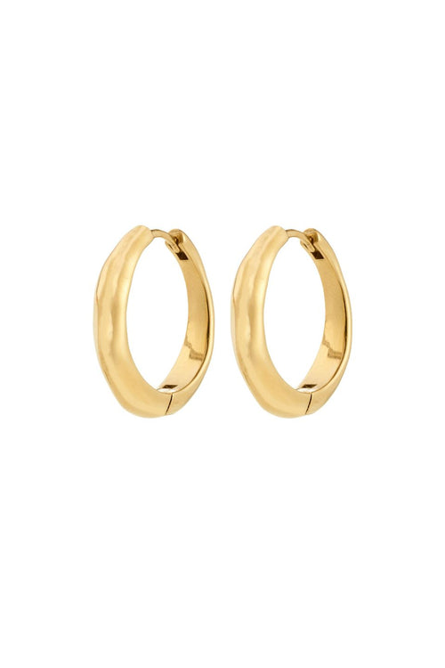 Gold hoop earrings on a white background