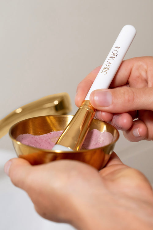 Facial Mask Applying Brush