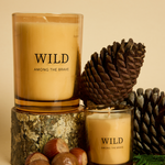 Wild Maple Leaf Woodland 250g Soy Candle