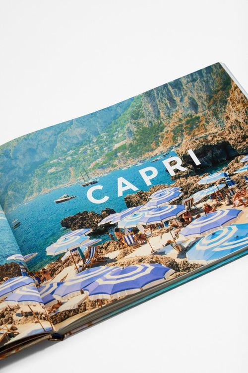 Pages with images from a book titled : 