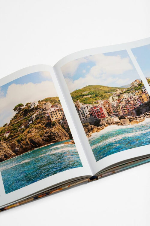 Pages with images from a book titled : 