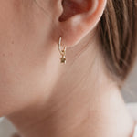 Twinkle Star Sleeper Earrings Gold ACC Jewellery Sophie   