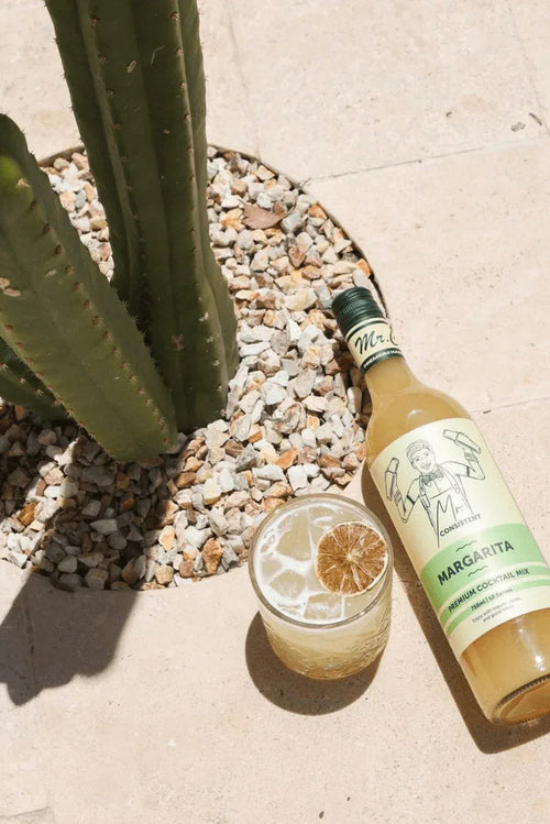 A bottle of Margarita Mexican Cocktails Mint Mojito Rum is shown next to a prepared margarita cocktail in a glass, styled on a beige stone patio next to a cactus.