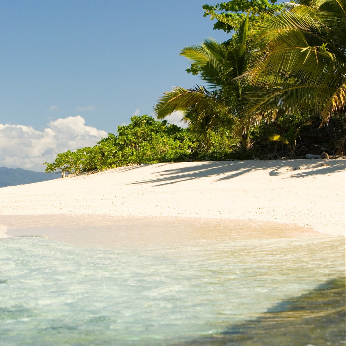 A tropical beach scene with two people walking on white sand near palm trees, turquoise water in the foreground, and a blue sky with clouds.