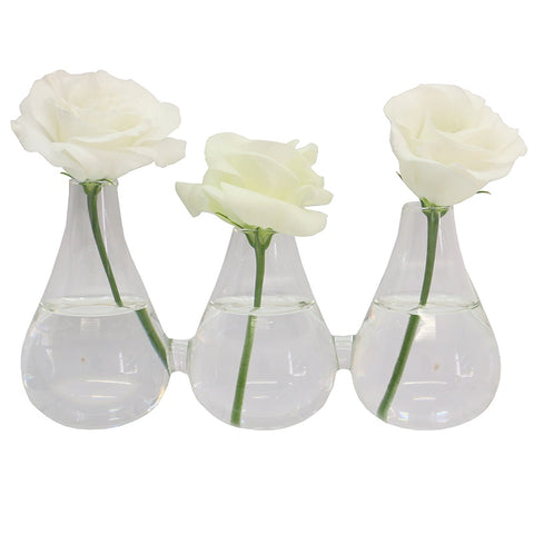 Sienna 3 Joined Clear Glass Vase Style 7 HW Decor - Bookend, Hook, Urn, Vase, Sculpture Le Forge   