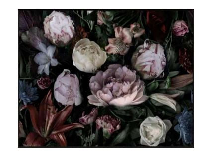 Flounce Dark Floral Print Canvas with Frame 80x120cm HW Art - Wall Decor, Clock, Wall Mirror Start With Art   