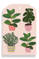 Plants Blush Gift Tag