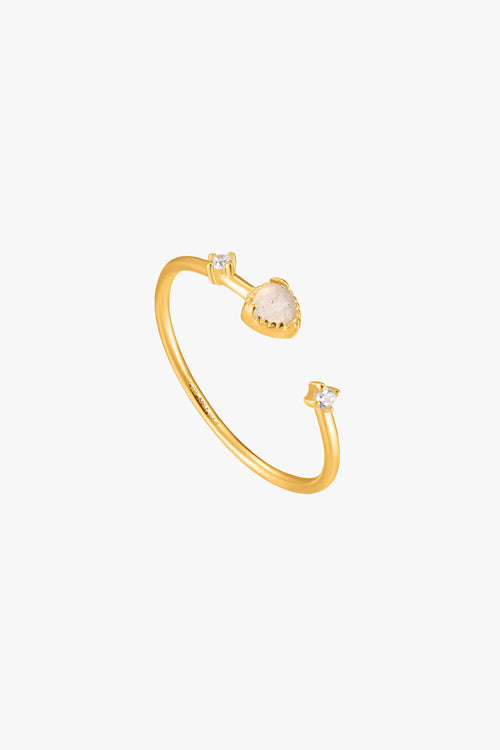 Midnight Adjustable Gold Ring EOL ACC Jewellery Ania Haie   