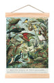 Native Birds of New Zealand Wall Chart Small 310mm Wide