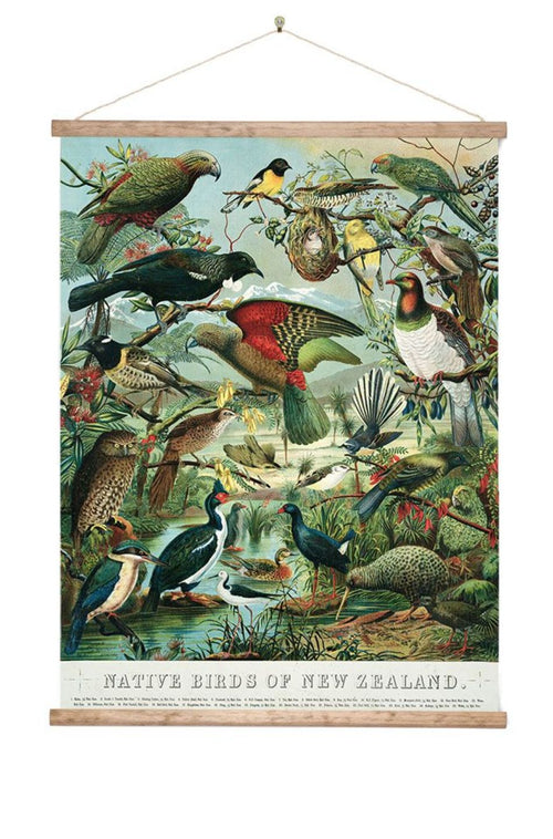 Native Birds of New Zealand Wall Chart Medium 600mm Wide HW Art - Wall Decor, Clock, Wall Mirror 100% NZ   