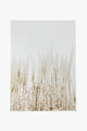 Pampas Grass Neutral Framed A1 Print