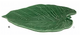 Swiss Cheese Green Leaf Platter 43cm