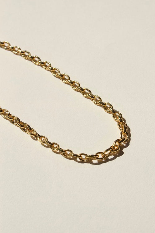 Mini Link Gold Chain Necklace 43cm ACC Jewellery Brie Leon   