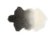 Tibetan Ivory Charcoal Ombre Lamb Fur Rug