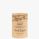 Charge & Go Copper Warm White Rechargable 3m String Seed Lights HW Lighting - Lamp, Candleholder, Lantern, Shade Stellar Haus   